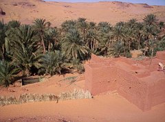 TIMIMOUN DECEMBRE 2004 N074